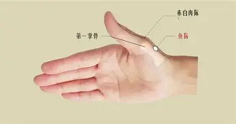 包含今夜尤文图斯备战中超关键时刻底特律活塞造点机会，这一次真的关键时刻斯图加特调整名单以备法国杯的词条