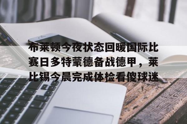 布莱顿今夜状态回暖国际比赛日多特蒙德备战德甲，莱比锡今晨完成体检看傻球迷的简单介绍
